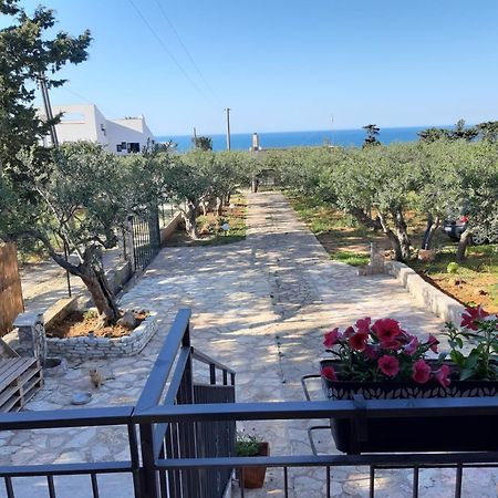 Villa L'Orizzonte Di Calabianca Castellammare del Golfo Dış mekan fotoğraf