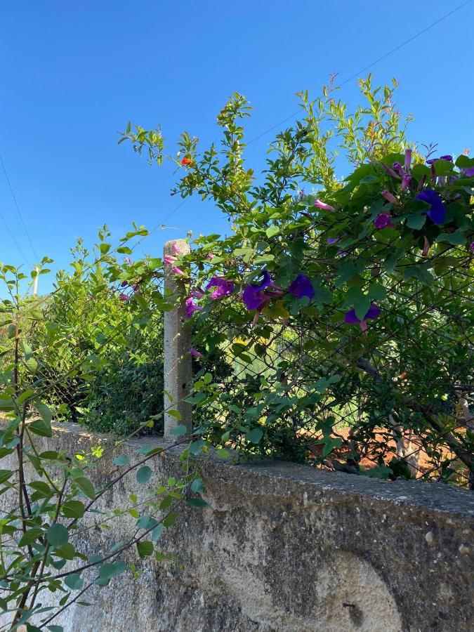 Villa L'Orizzonte Di Calabianca Castellammare del Golfo Dış mekan fotoğraf