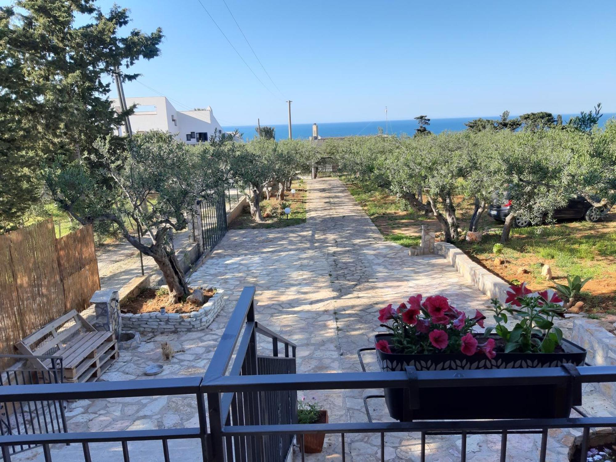 Villa L'Orizzonte Di Calabianca Castellammare del Golfo Dış mekan fotoğraf