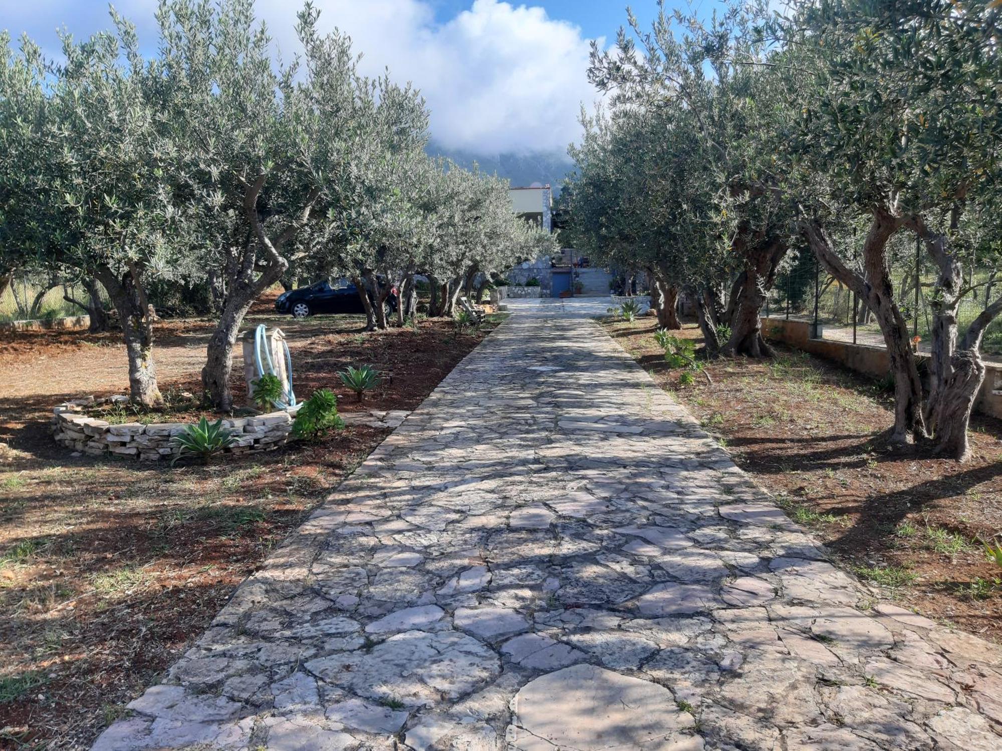 Villa L'Orizzonte Di Calabianca Castellammare del Golfo Dış mekan fotoğraf