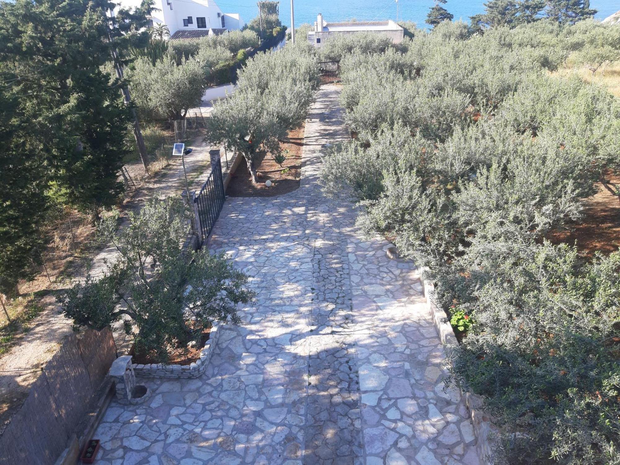 Villa L'Orizzonte Di Calabianca Castellammare del Golfo Dış mekan fotoğraf